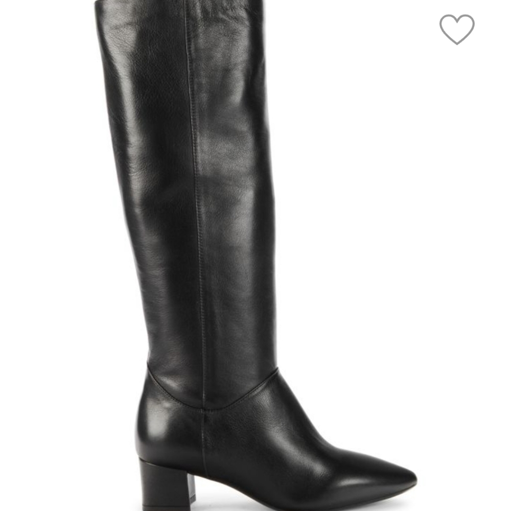 AQUATALIA Palmina Weatherproof Leather Tall Boots